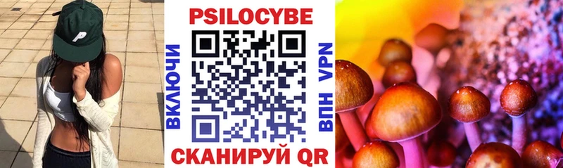 Псилоцибиновые грибы мицелий Вихоревка