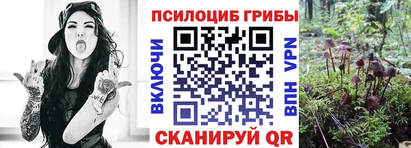 Купить где  Вихоревка  Псилоцибиновые грибы MAGIC MUSHROOMS 